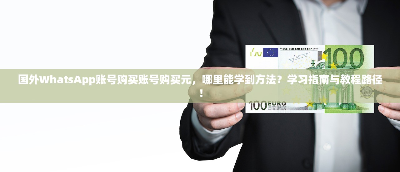 国外WhatsApp账号购买账号购买元,哪里能学到方法?学习指南与教程路径!
