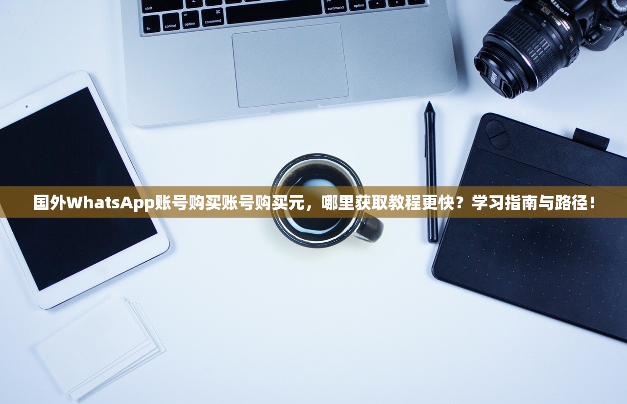 国外WhatsApp账号购买账号购买元,哪里获取教程更快?学习指南与路径!
