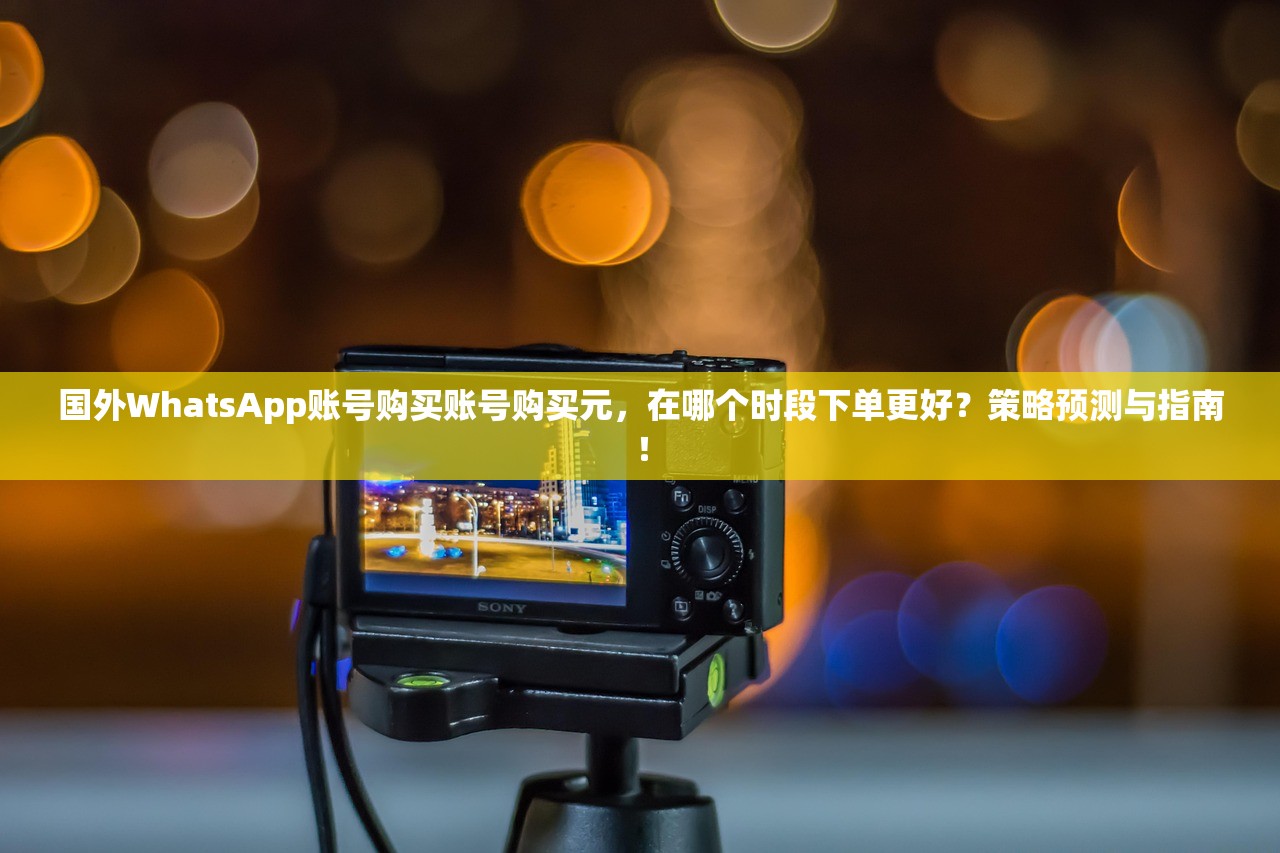 国外WhatsApp账号购买账号购买元,在哪个时段下单更好?策略预测与指南!