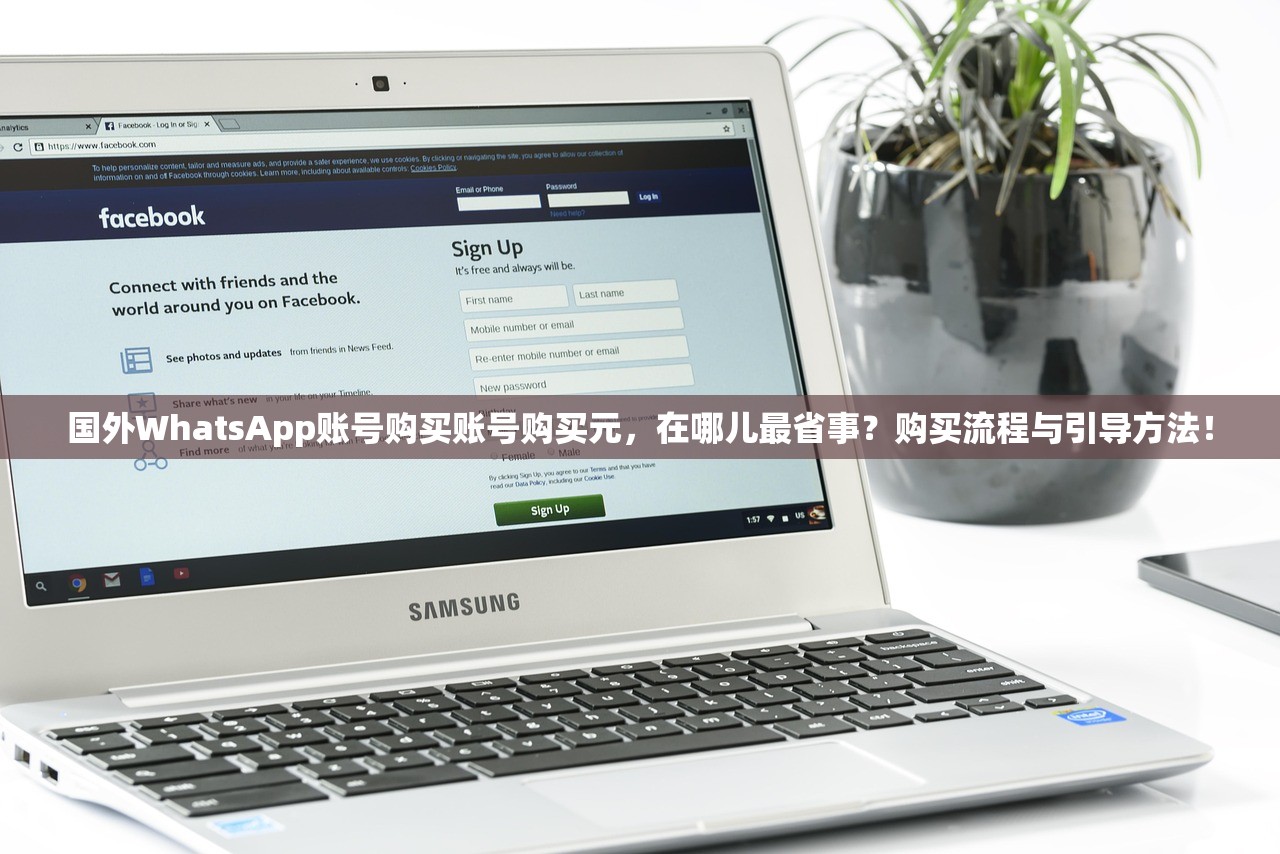 国外WhatsApp账号购买账号购买元,在哪儿最省事?购买流程与引导方法!