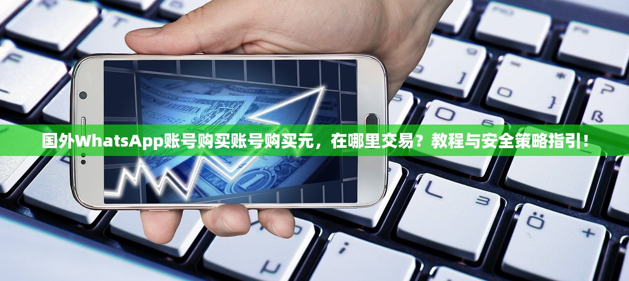 国外WhatsApp账号购买账号购买元,在哪里交易?教程与安全策略指引!