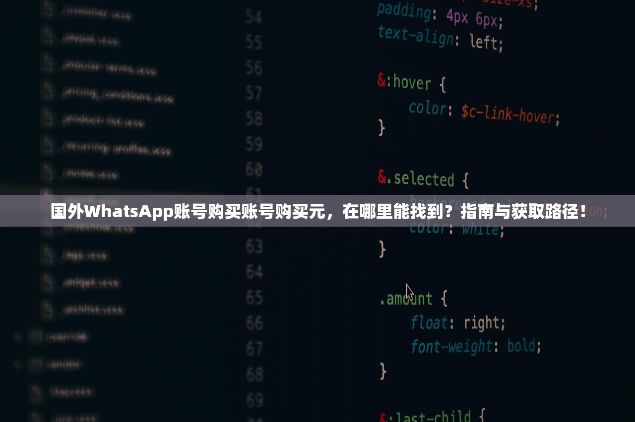国外WhatsApp账号购买账号购买元,在哪里能找到?指南与获取路径!