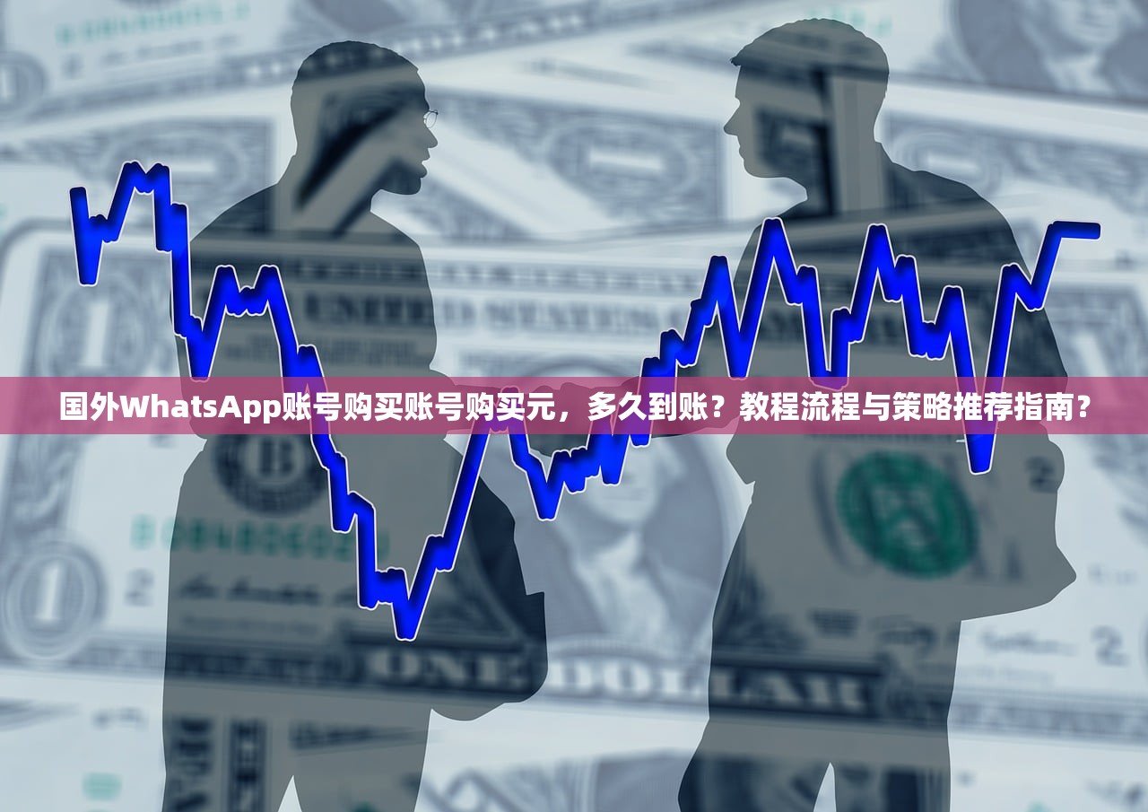 国外WhatsApp账号购买账号购买元，多久到账？教程流程与策略推荐指南？