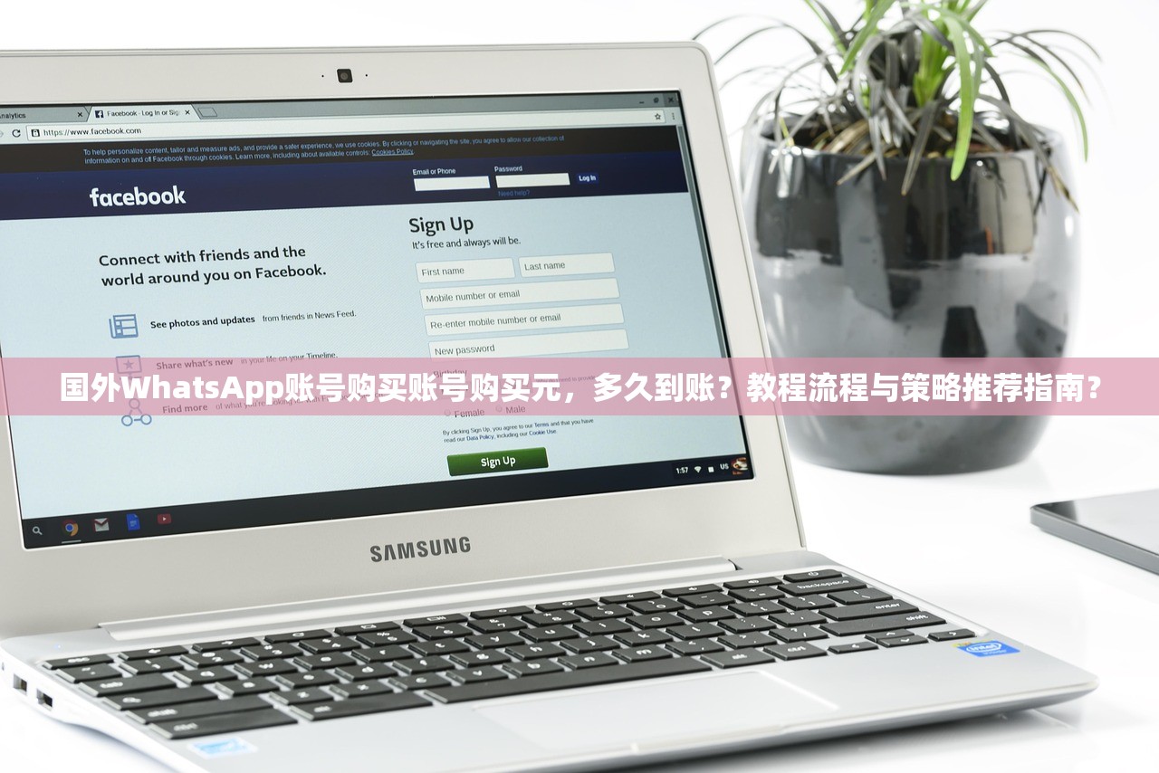 国外WhatsApp账号购买账号购买元,多久到账?教程流程与策略推荐指南?