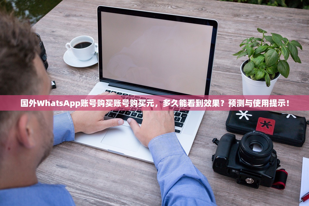 国外WhatsApp账号购买账号购买元,多久能看到效果?预测与使用提示!