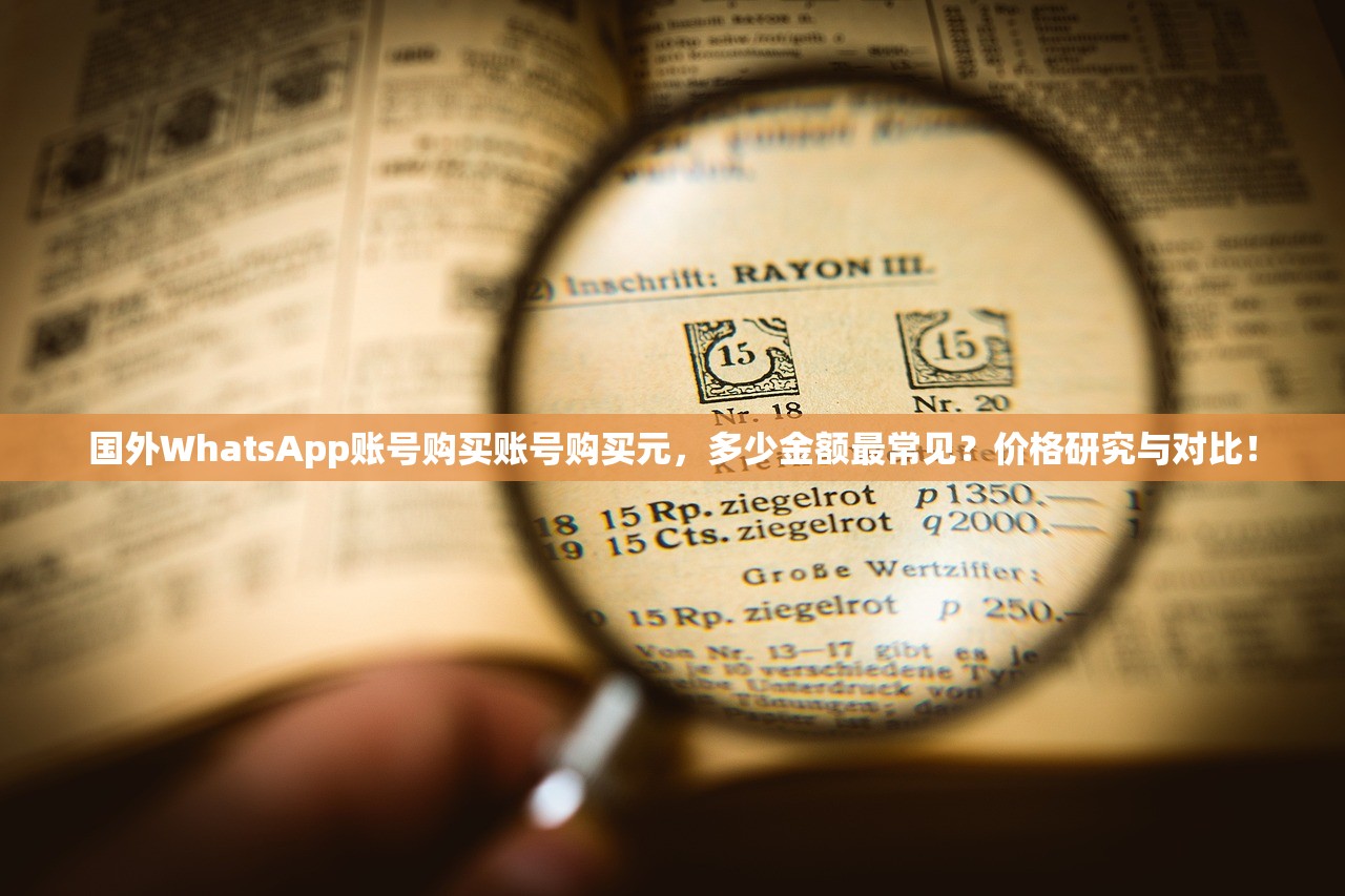 国外WhatsApp账号购买账号购买元,多少金额最常见?价格研究与对比!