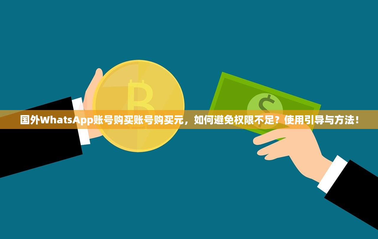 国外WhatsApp账号购买账号购买元,如何避免权限不足?使用引导与方法!