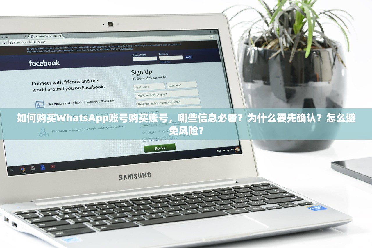 如何购买WhatsApp账号购买账号,哪些信息必看?为什么要先确认?怎么避免风险?