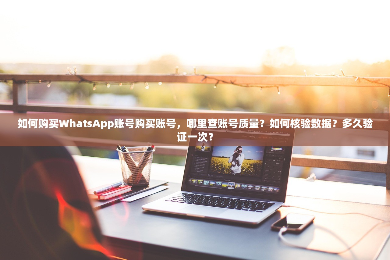 如何购买WhatsApp账号购买账号,哪里查账号质量?如何核验数据?多久验证一次?
