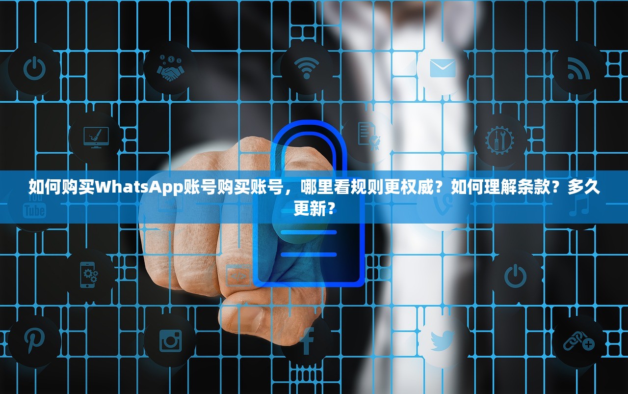 如何购买WhatsApp账号购买账号,哪里看规则更权威?如何理解条款?多久更新?