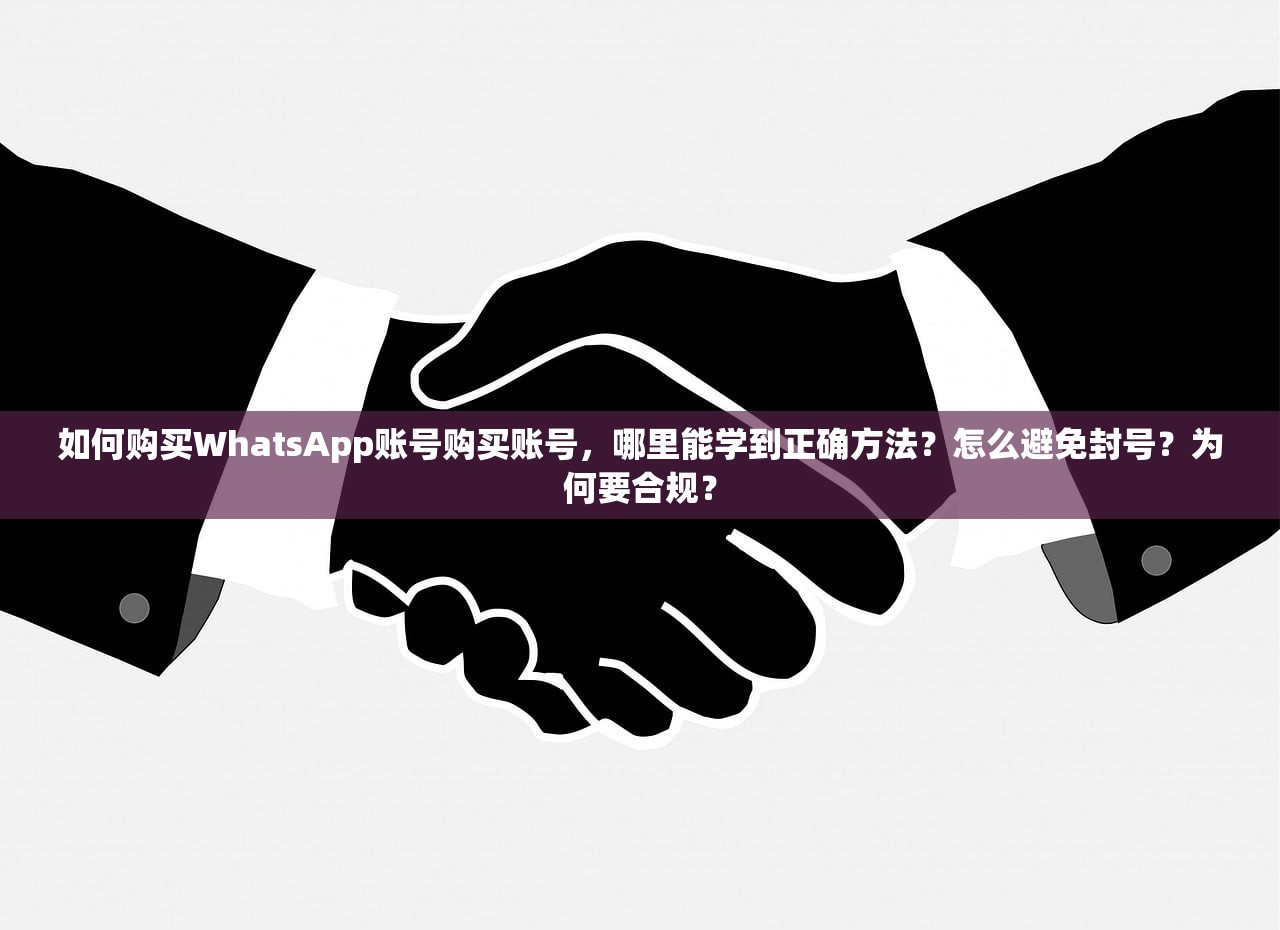 如何购买WhatsApp账号购买账号,哪里能学到正确方法?怎么避免封号?为何要合规?