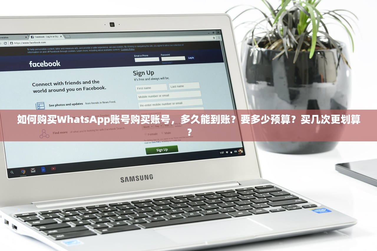 如何购买WhatsApp账号购买账号,多久能到账?要多少预算?买几次更划算?
