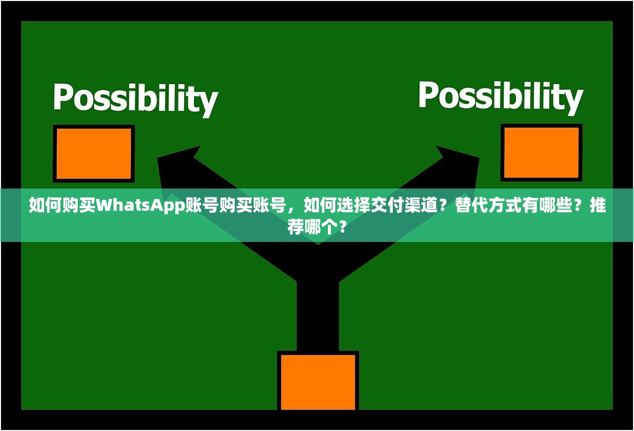 如何购买WhatsApp账号购买账号,如何选择交付渠道?替代方式有哪些?推荐哪个?