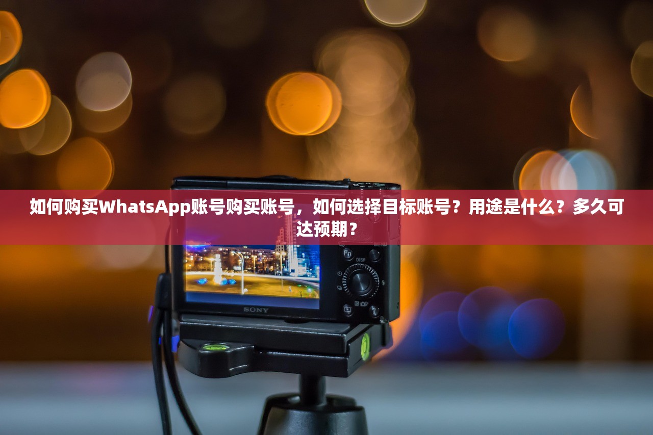 如何购买WhatsApp账号购买账号,如何选择目标账号?用途是什么?多久可达预期?