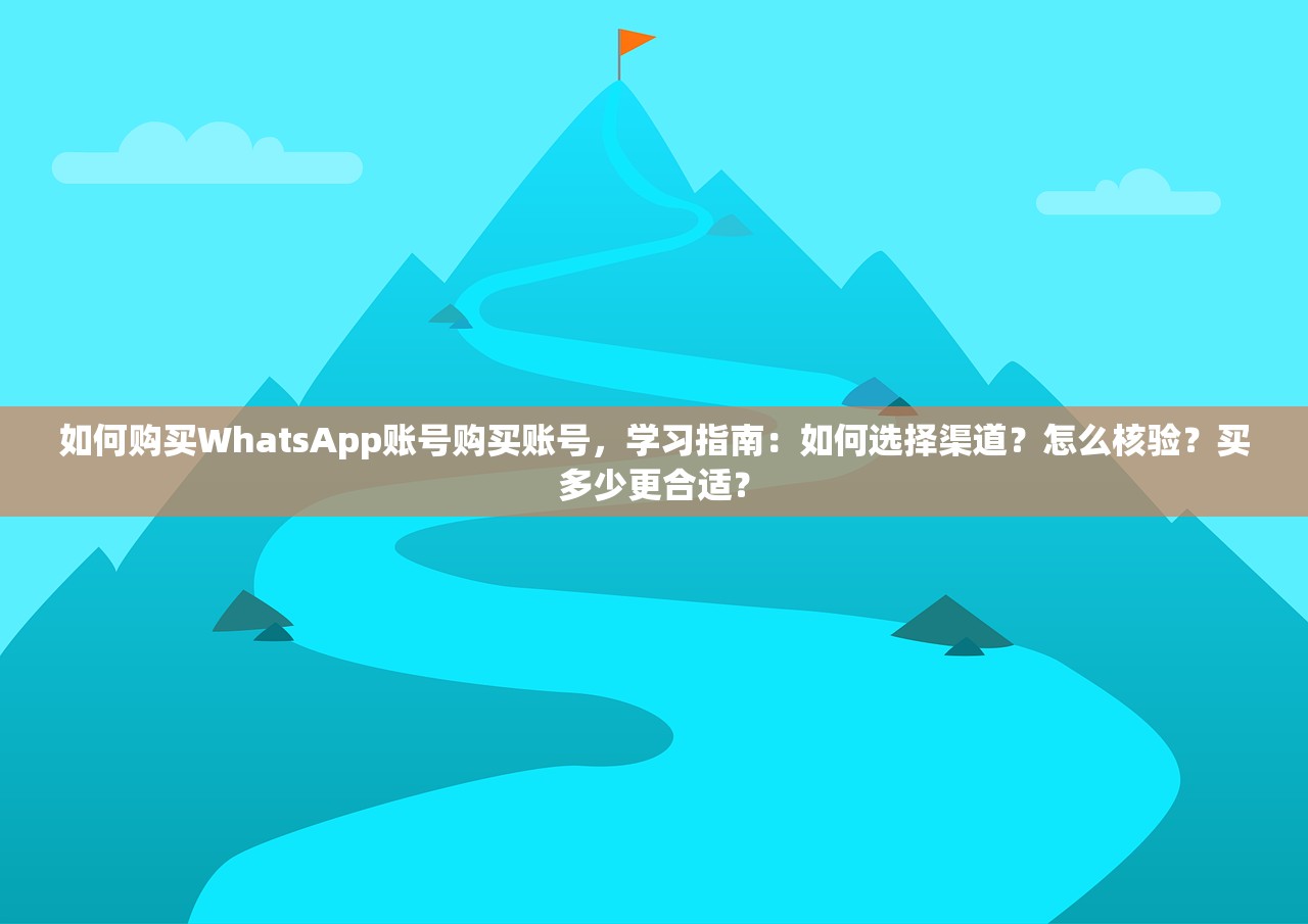 如何购买WhatsApp账号购买账号,学习指南:如何选择渠道?怎么核验?买多少更合适?