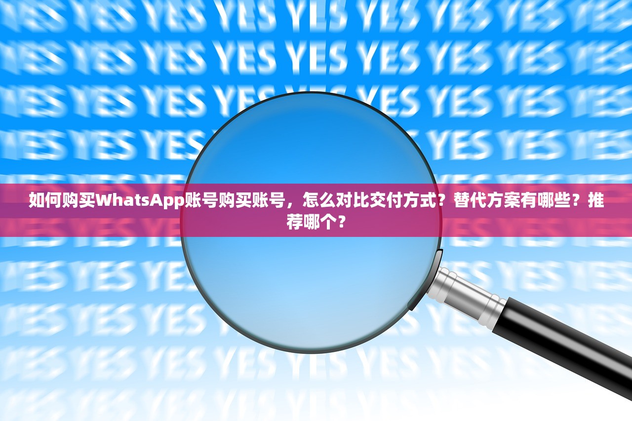 如何购买WhatsApp账号购买账号,怎么对比交付方式?替代方案有哪些?推荐哪个?