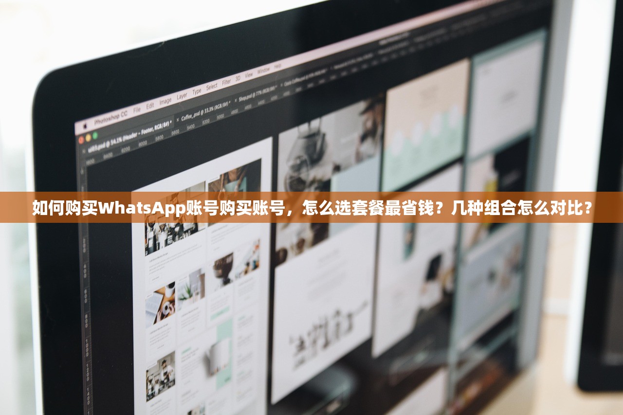 如何购买WhatsApp账号购买账号,怎么选套餐最省钱?几种组合怎么对比?