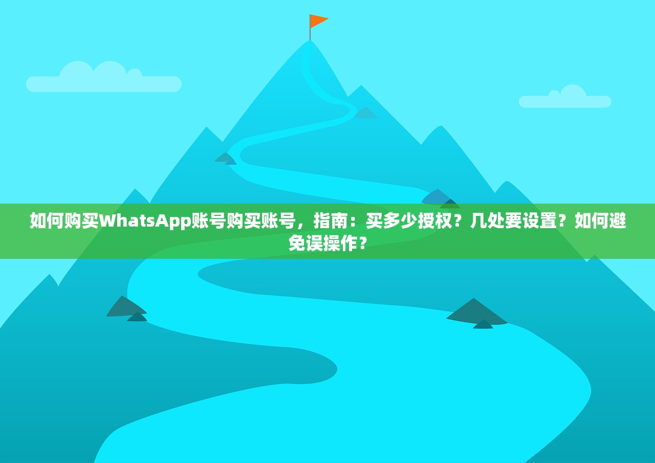 如何购买WhatsApp账号购买账号,指南:买多少授权?几处要设置?如何避免误操作?