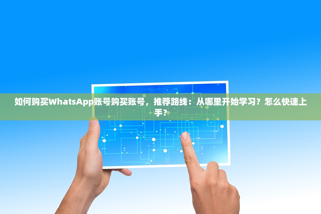 如何购买WhatsApp账号购买账号，推荐路线：从哪里开始学习？怎么快速上手？