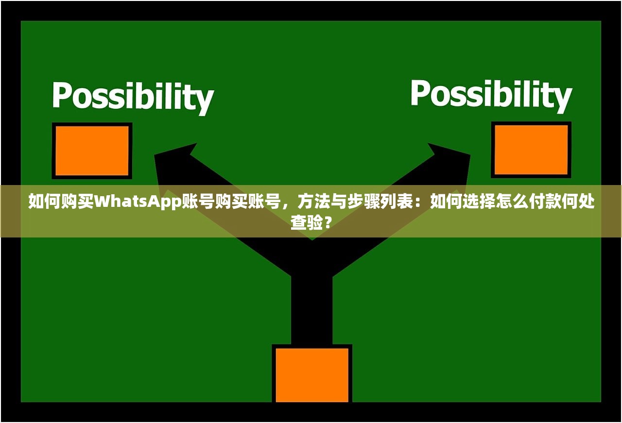 如何购买WhatsApp账号购买账号,方法与步骤列表:如何选择怎么付款何处查验?