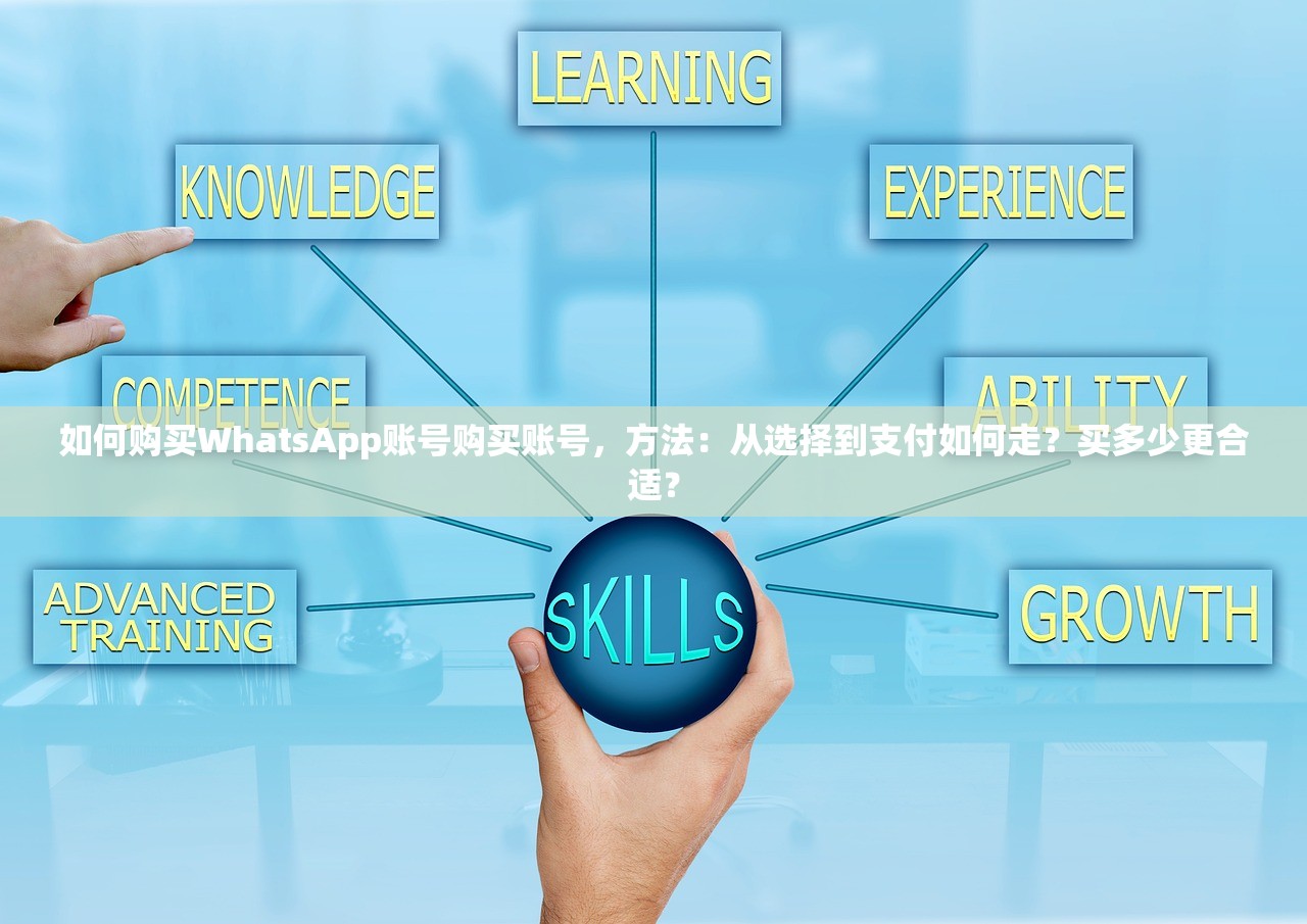 如何购买WhatsApp账号购买账号,方法:从选择到支付如何走?买多少更合适?