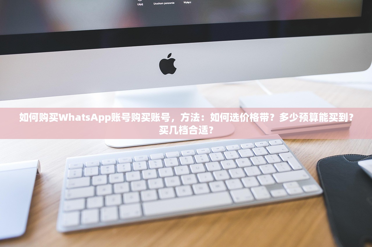 如何购买WhatsApp账号购买账号,方法:如何选价格带?多少预算能买到?买几档合适?