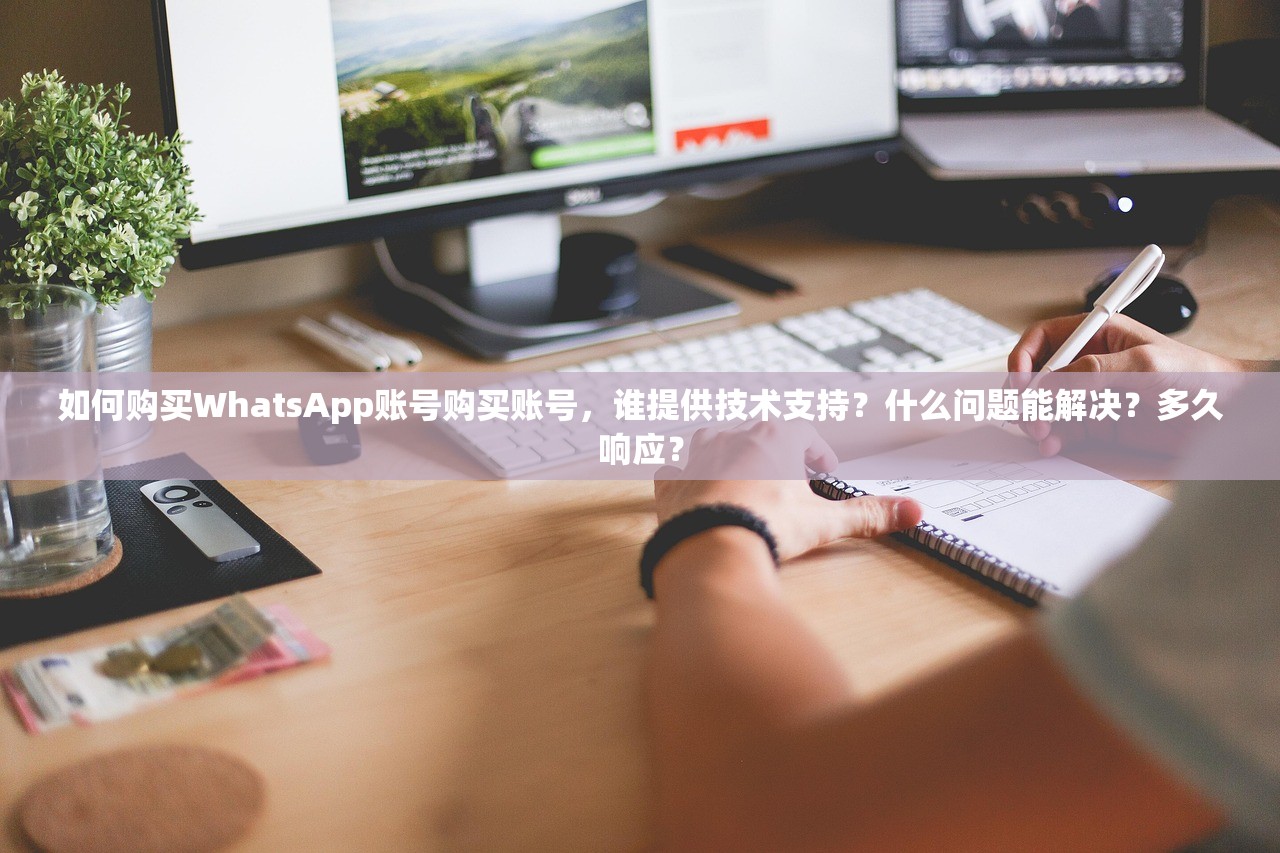 如何购买WhatsApp账号购买账号,谁提供技术支持?什么问题能解决?多久响应?