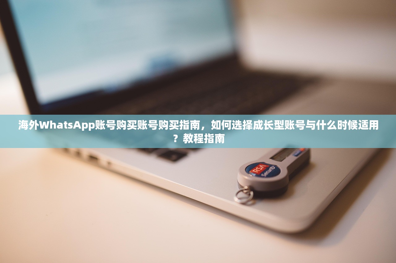 海外WhatsApp账号购买账号购买指南,如何选择成长型账号与什么时候适用?教程指南
