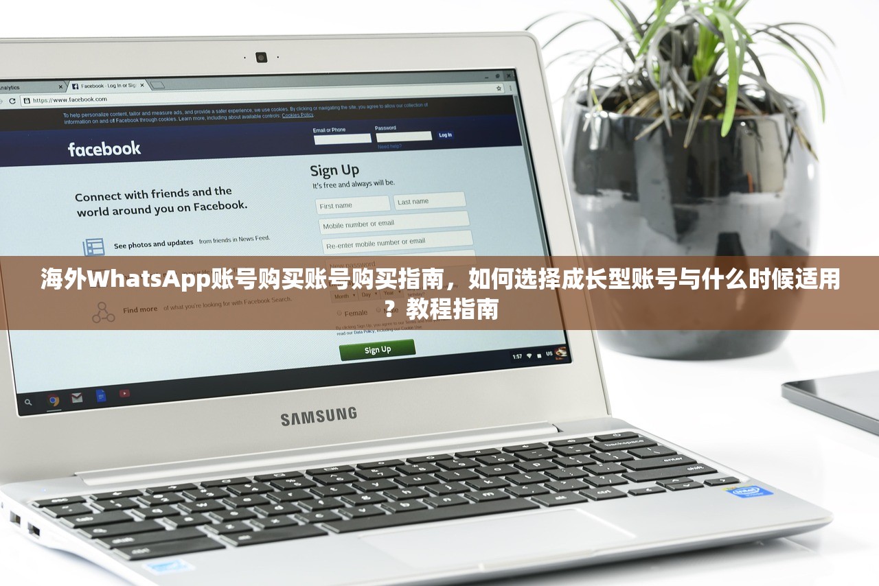 海外WhatsApp账号购买账号购买指南,如何选择成长型账号与什么时候适用?教程指南