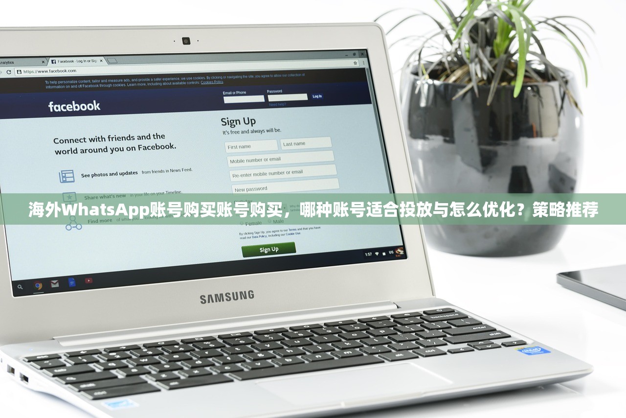 海外WhatsApp账号购买账号购买,哪种账号适合投放与怎么优化?策略推荐