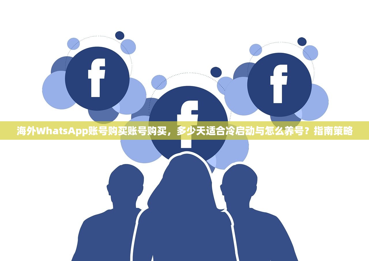 海外WhatsApp账号购买账号购买,多少天适合冷启动与怎么养号?指南策略