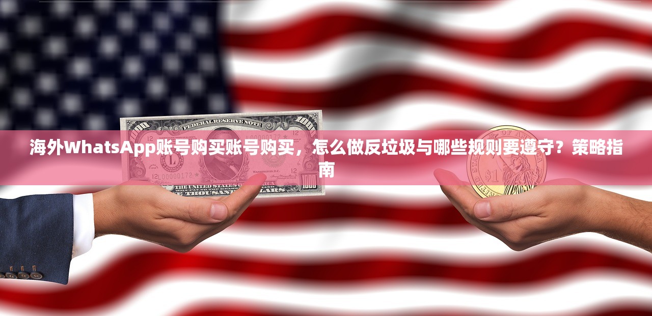 海外WhatsApp账号购买账号购买,怎么做反垃圾与哪些规则要遵守?策略指南