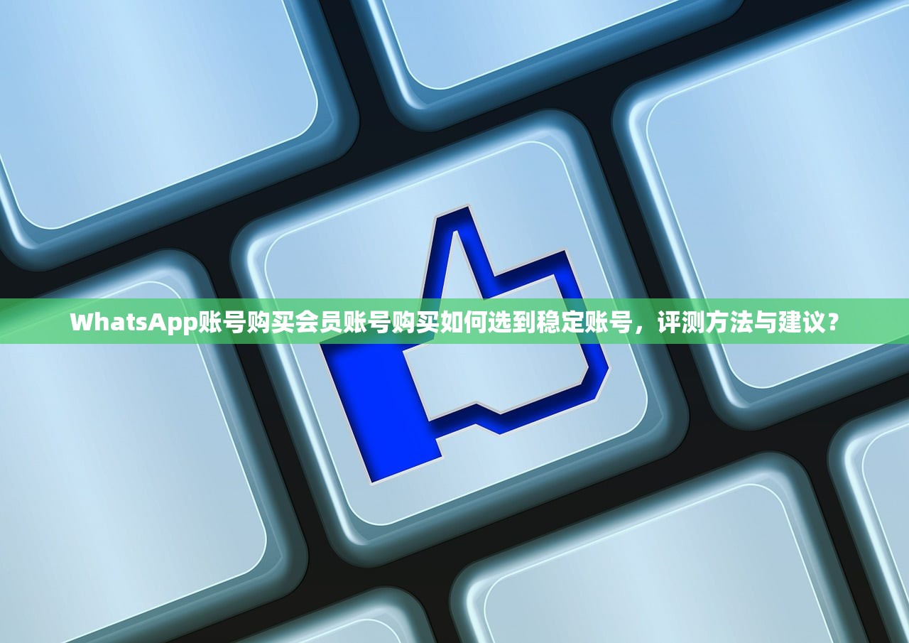 WhatsApp账号购买会员账号购买如何选到稳定账号,评测方法与建议?