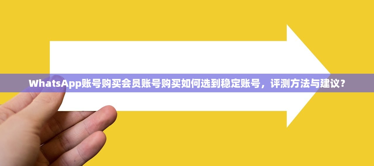 WhatsApp账号购买会员账号购买如何选到稳定账号,评测方法与建议?