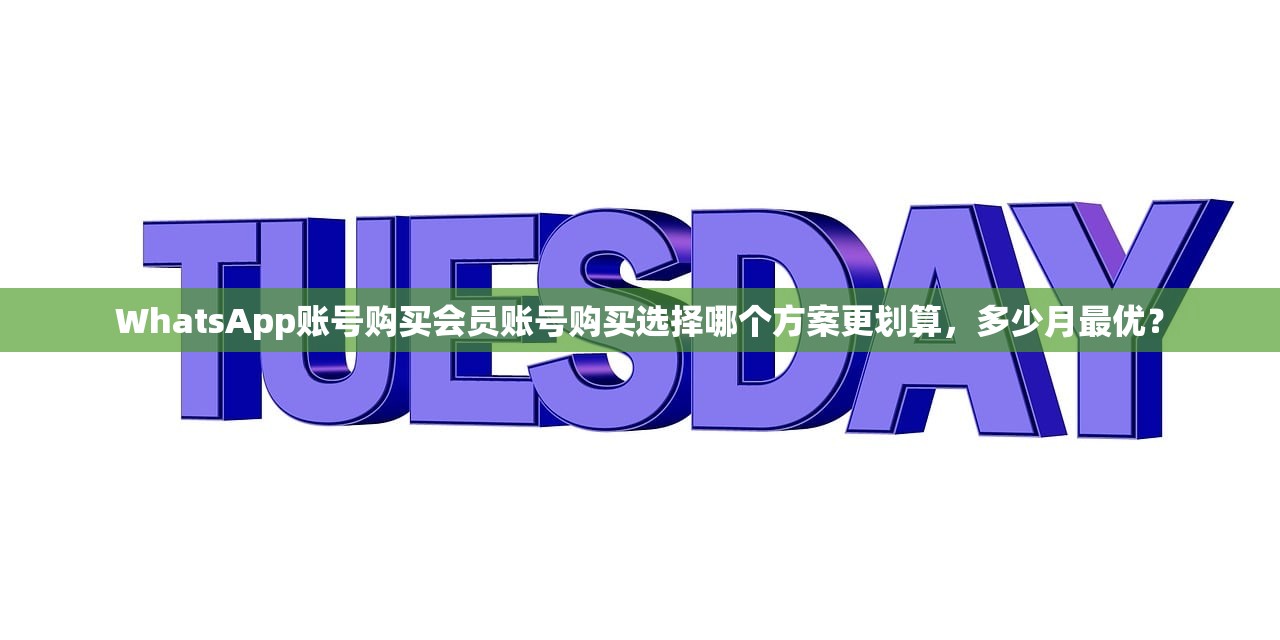 WhatsApp账号购买会员账号购买选择哪个方案更划算,多少月最优?