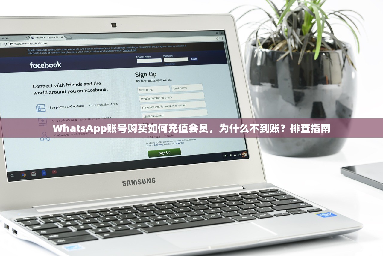 WhatsApp账号购买如何充值会员,为什么不到账?排查指南