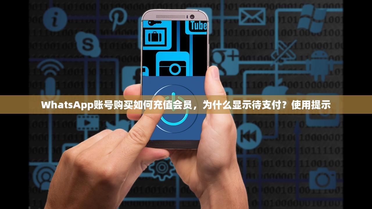 WhatsApp账号购买如何充值会员,为什么显示待支付?使用提示