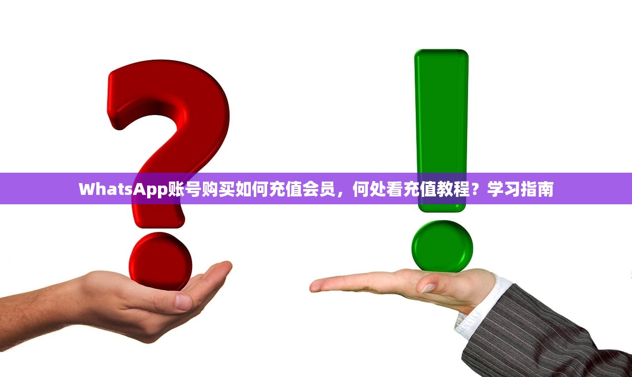WhatsApp账号购买如何充值会员,何处看充值教程?学习指南