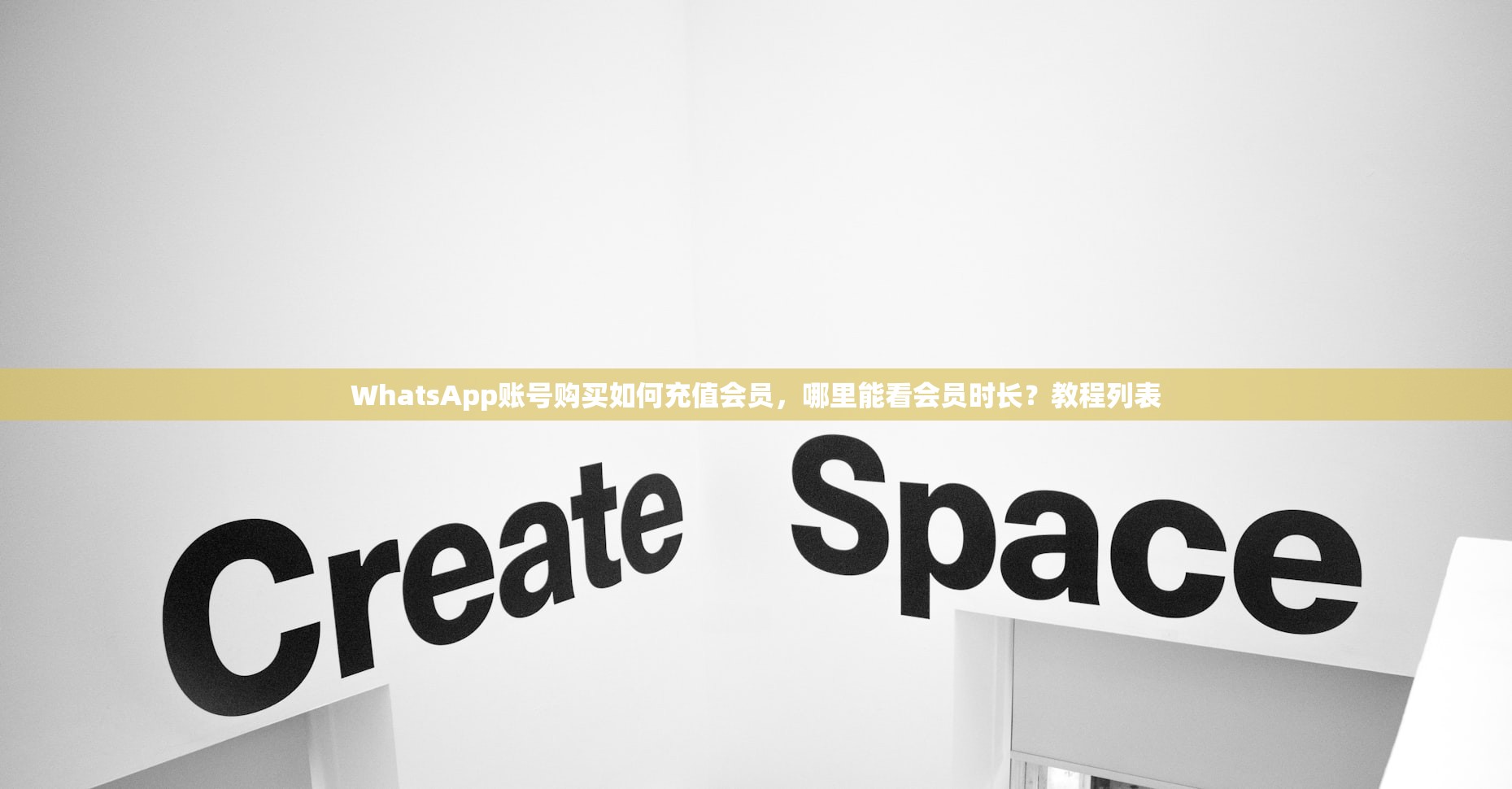 WhatsApp账号购买如何充值会员,哪里能看会员时长?教程列表