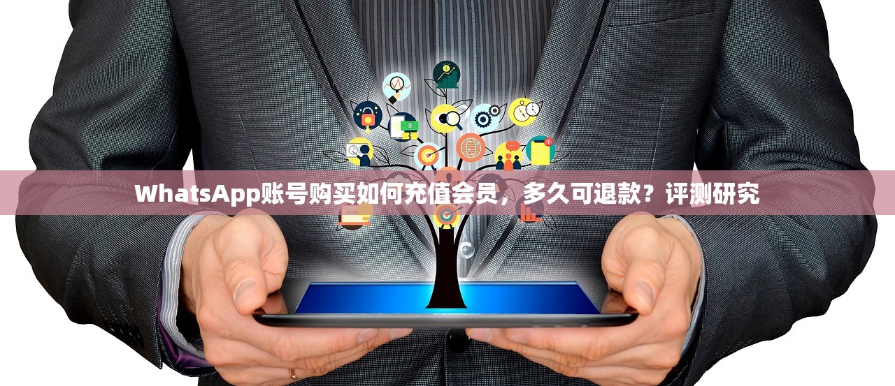 WhatsApp账号购买如何充值会员,多久可退款?评测研究