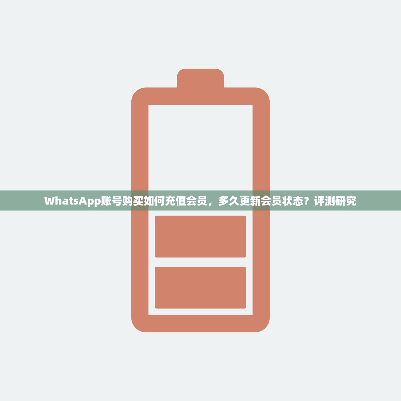 WhatsApp账号购买如何充值会员,多久更新会员状态?评测研究