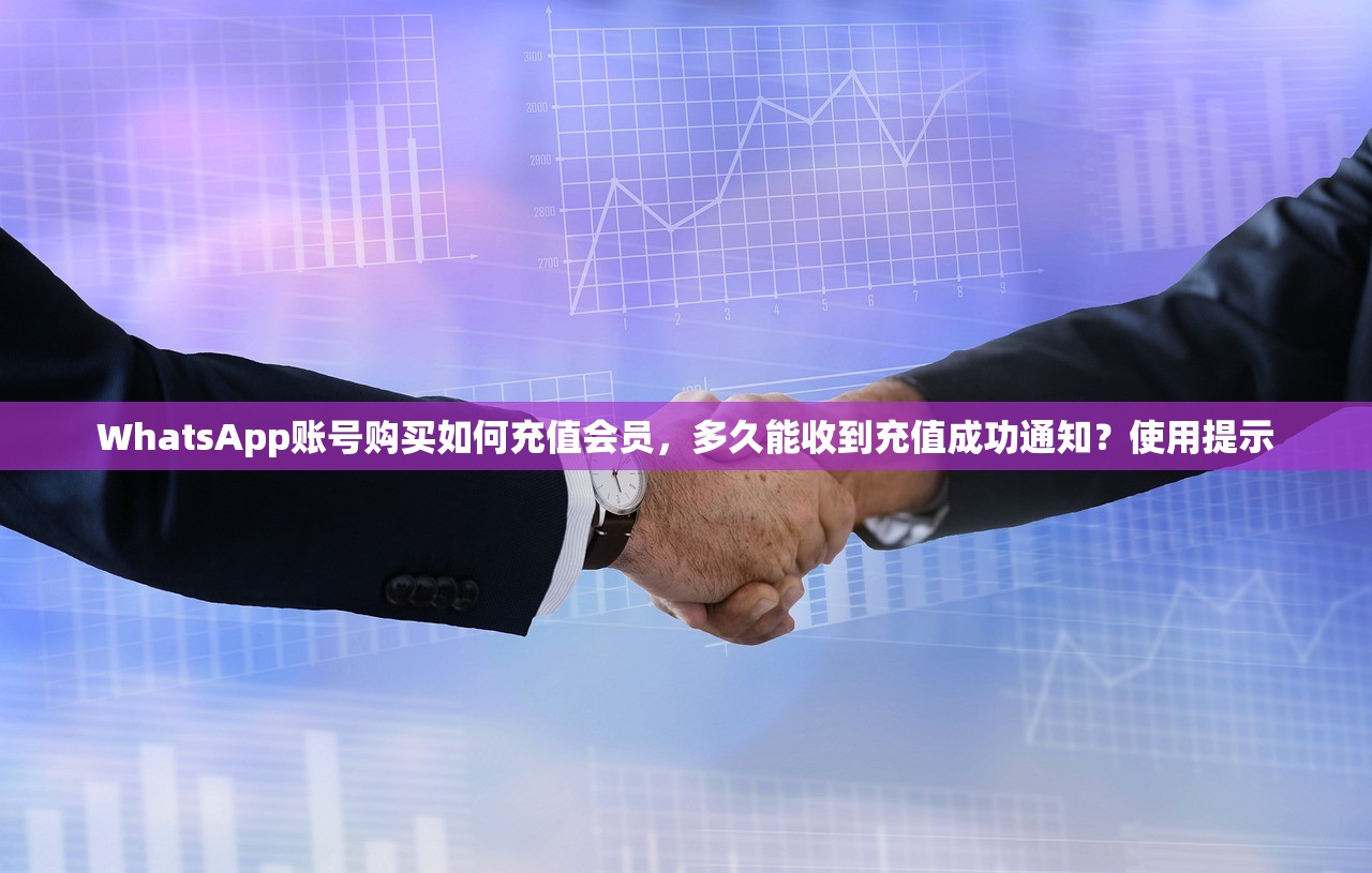 WhatsApp账号购买如何充值会员,多久能收到充值成功通知?使用提示