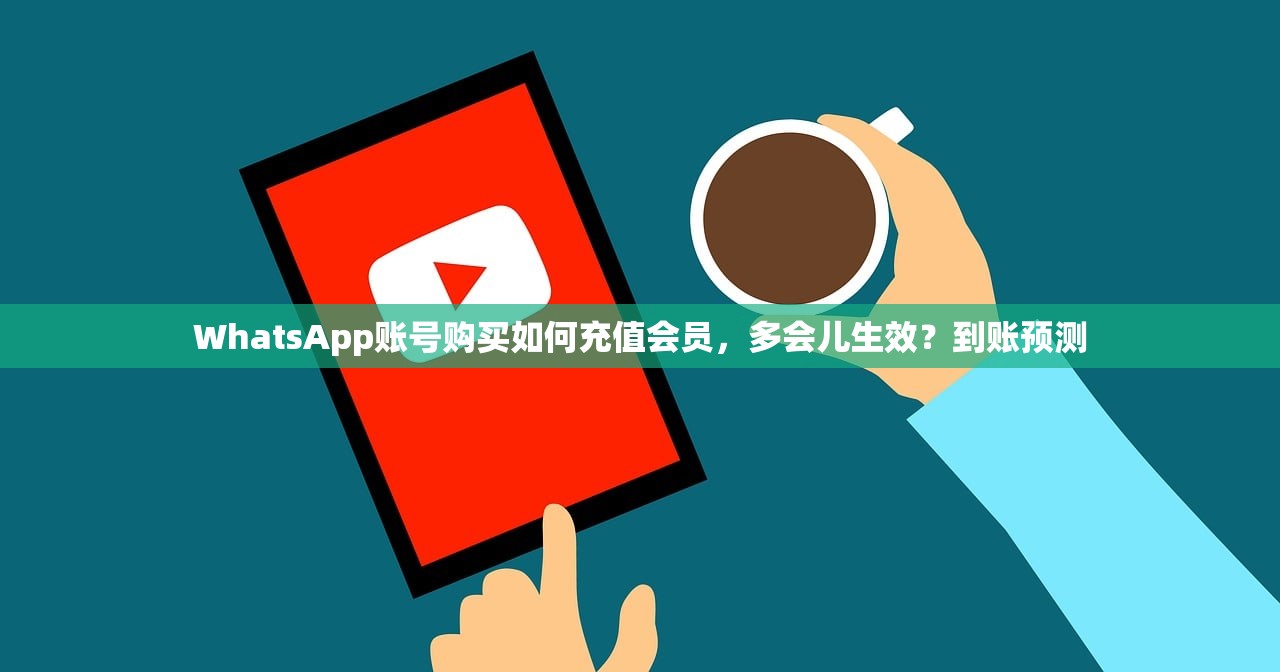 WhatsApp账号购买如何充值会员,多会儿生效?到账预测