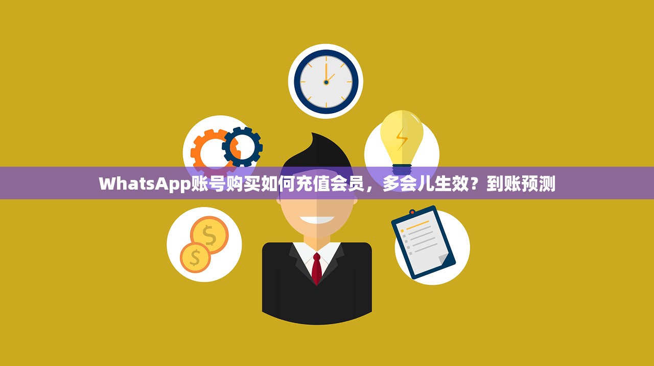 WhatsApp账号购买如何充值会员,多会儿生效?到账预测