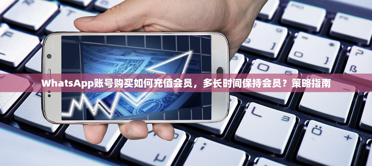 WhatsApp账号购买如何充值会员,多长时间保持会员?策略指南