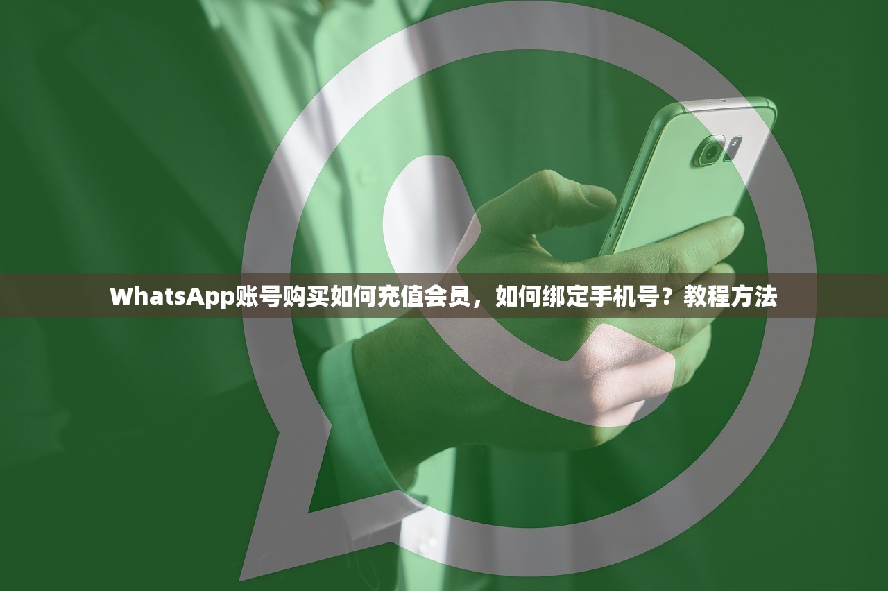 WhatsApp账号购买如何充值会员，如何绑定手机号？教程方法