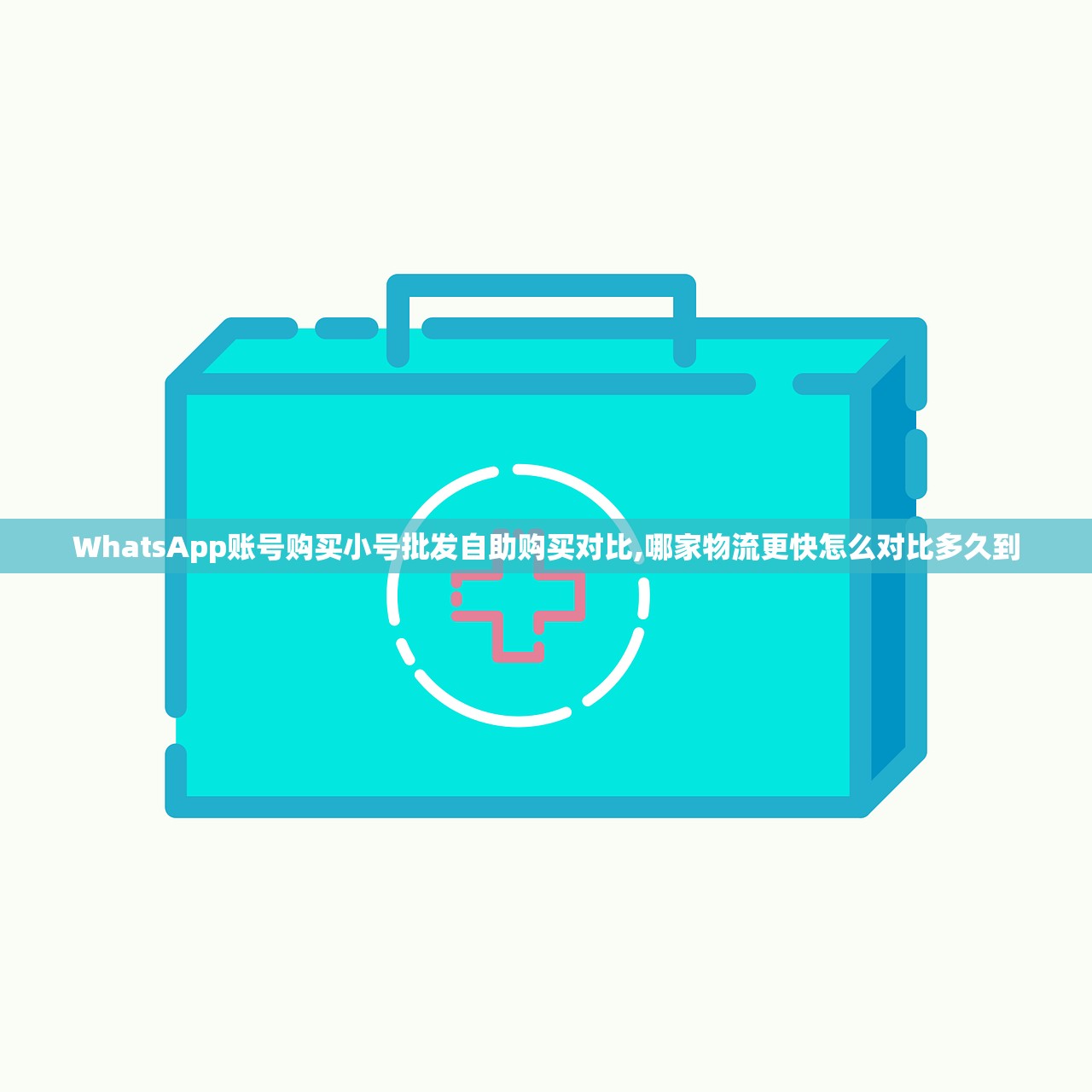WhatsApp账号购买小号批发自助购买对比,哪家物流更快怎么对比多久到