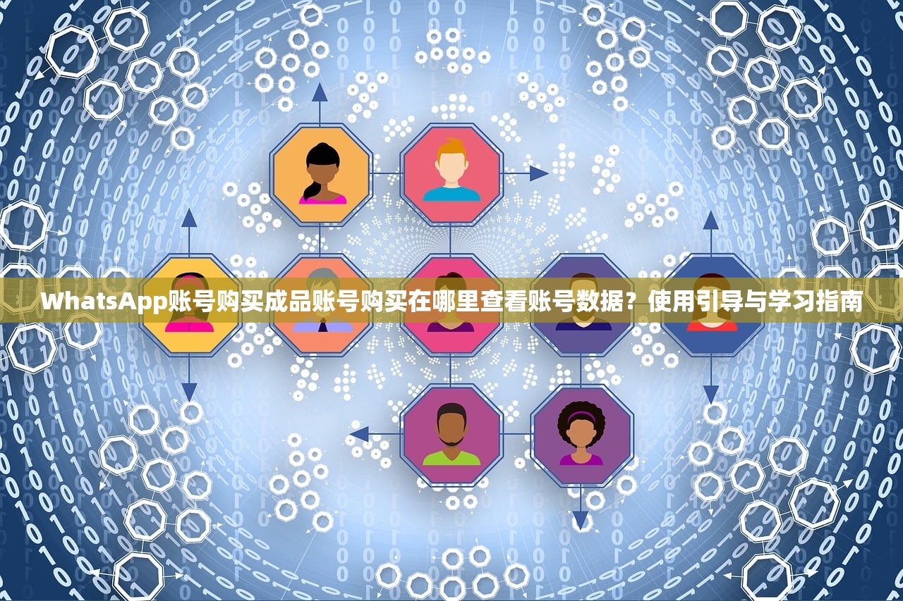 WhatsApp账号购买成品账号购买在哪里查看账号数据?使用引导与学习指南