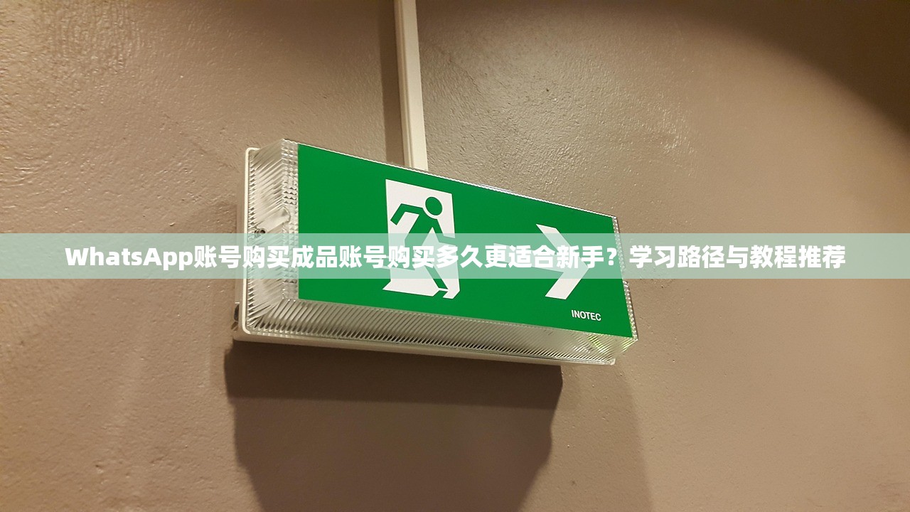 WhatsApp账号购买成品账号购买多久更适合新手？学习路径与教程推荐