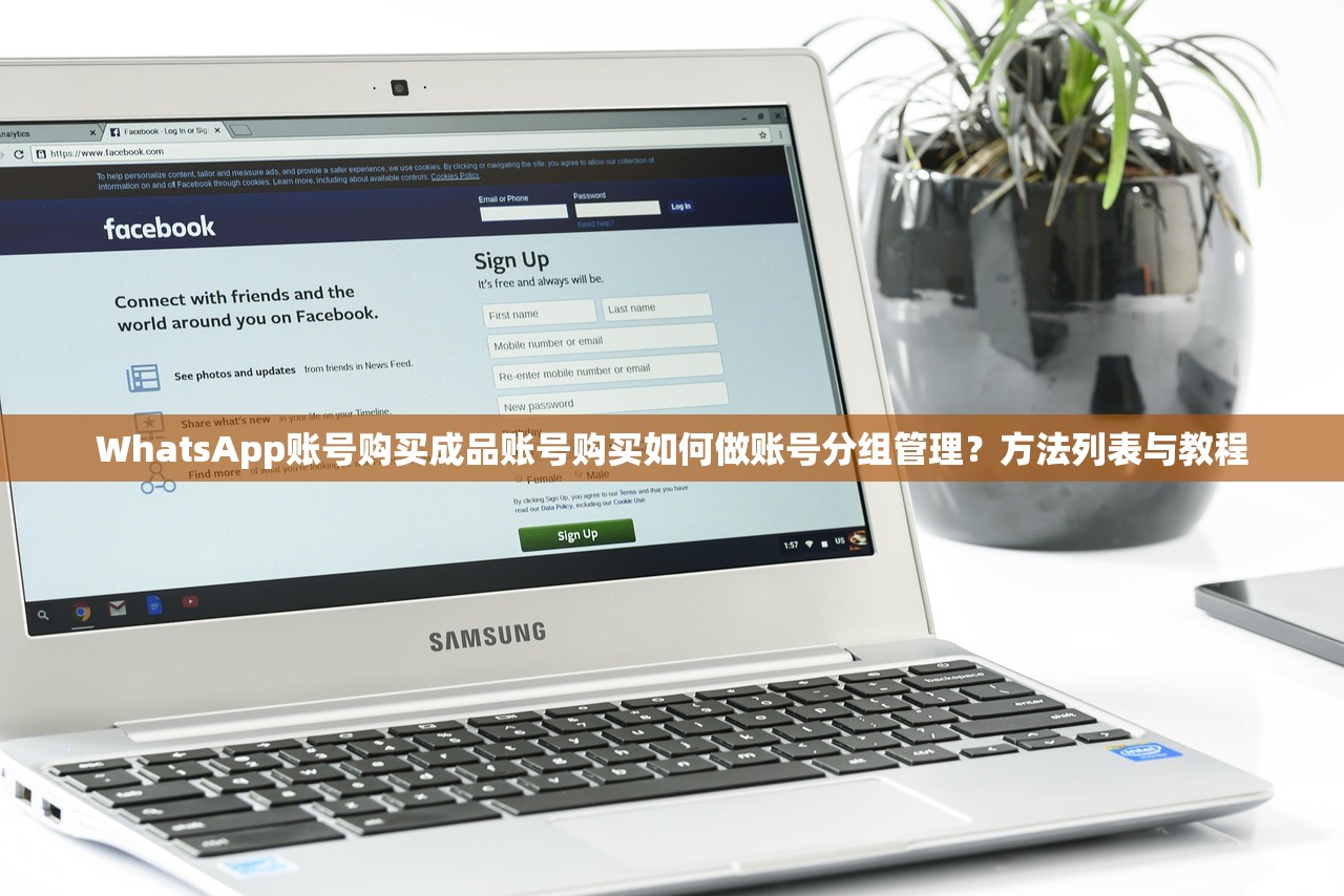 WhatsApp账号购买成品账号购买如何做账号分组管理?方法列表与教程